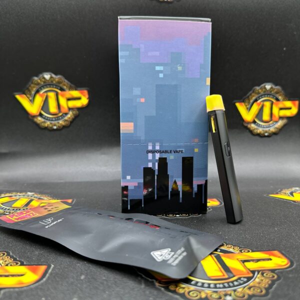 Buy Plug and Play 1g Disposable Vape Pen Online Florida
