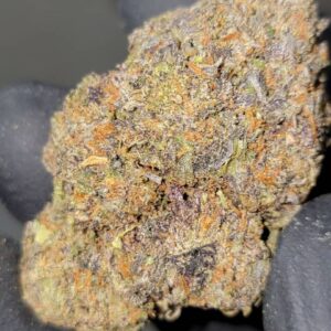 Buy Backpackboyz Black Cherry Gelato Marijuana Strain Online Florida