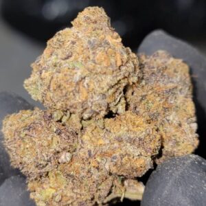 Buy Backpackboyz Blue Gotti Marijuana Strain Online Florida
