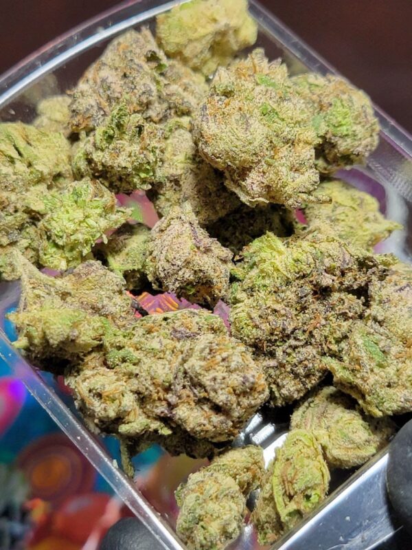 Buy Jungleboys Berry Pie Marijuana strain Online Florida