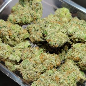 Buy Jungleboys LA Kush Cake Marijuana Online Florida
