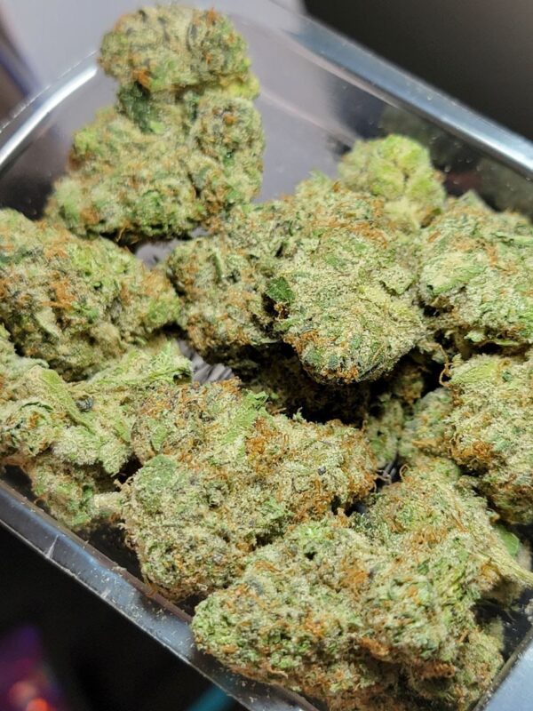Buy Jungleboys LA Kush Cake Marijuana Online Florida