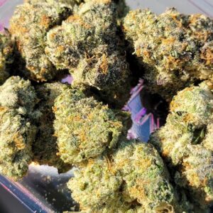 Buy Jungleboys Smackerz Marijuana Strain Online Florida
