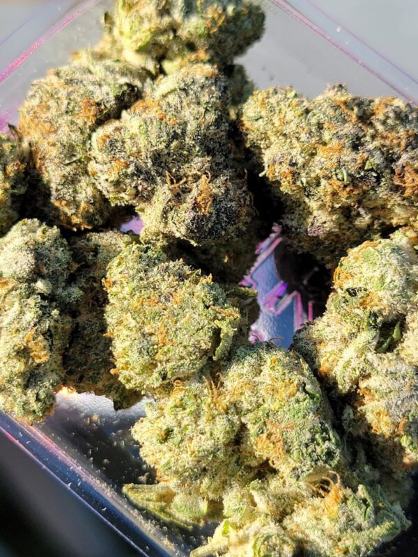 Buy Jungleboys Smackerz Marijuana Strain Online Florida