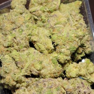 Buy Jungleboys White Fire OG Marijuana Strain Online Florida