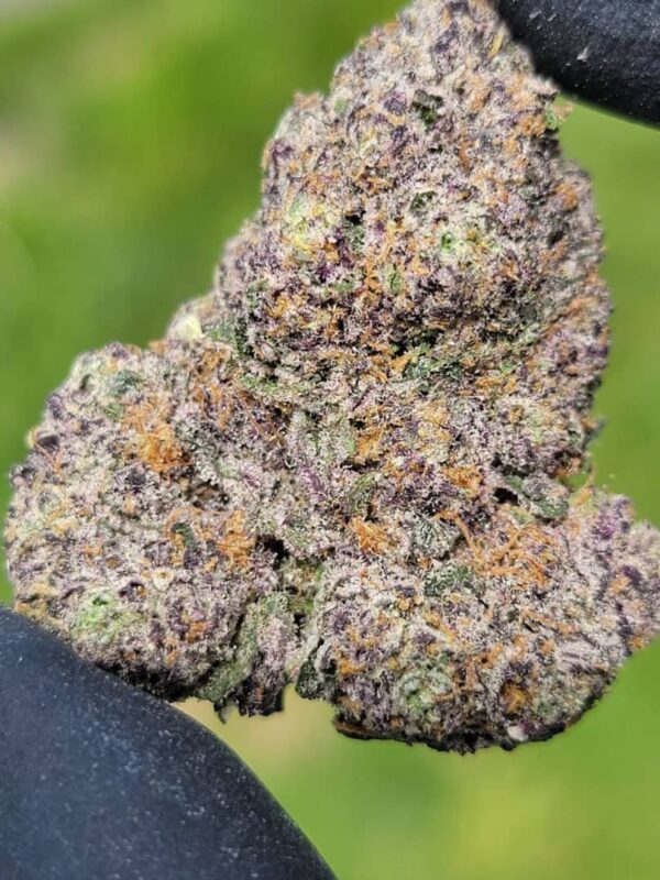 Buy Cookies Pink Rozay Marijuana Strain Online Florida