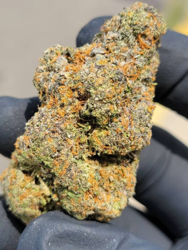 Buy Backpackboyz White Cherry Gelato Marijuana Strain Online Florida